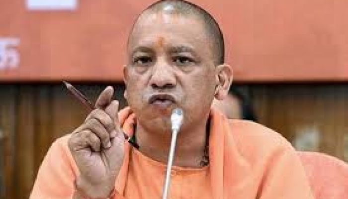 Yogi1